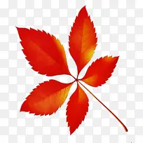 水彩画 颜料 湿墨-空若网 水彩画 颜料 湿墨-空若网