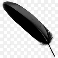 羽毛 羽毛笔 钢笔-空若网 羽毛 羽毛笔 钢笔-空若网