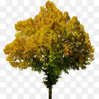 水彩画 油漆 湿墨-空若网 水彩画 油漆 湿墨-空若网