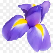 ���� ��ɫ ��-������