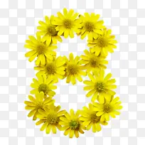 黄色 花 植物-空若网 黄色 花 植物-空若网