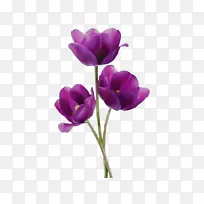 ˮ�� ���� ʪī-������