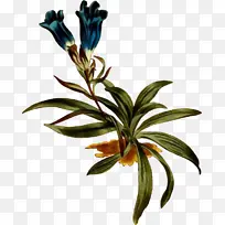 ˮ�ʻ� ���� ʪī-������