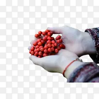 ˮ�� ��ȻʳƷ ʳƷ-������