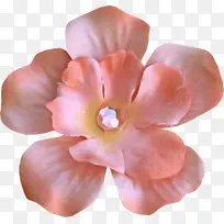 »¨°ê ·ÛÉ« »¨¶ä-¿ÕÈôÍø »¨°ê ·ÛÉ« »¨¶ä-¿ÕÈôÍø