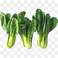 �߲� Ҷ�� ֲ��-������