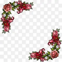 花卉 植物 切花-空若网 花卉 植物 切花-空若网