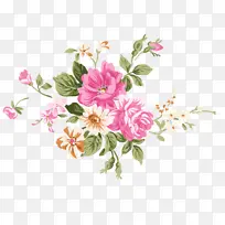 �� ����ֲ�� ��ɫ-������