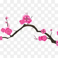 ��ɫ ���� ֲ��-������