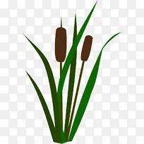 �� ֲ�� ����ֲ��-������