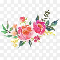 ���� ����ֲ�� ��ɫ-������