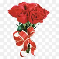 采购产品花 开花植物 花园玫瑰-空若网 采购产品花 开花植物 花园玫瑰-空若网