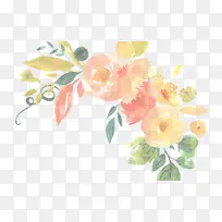 花 粉色 植物-空若网 花 粉色 植物-空若网