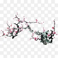 树枝 花朵 粉色-空若网 树枝 花朵 粉色-空若网