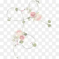 ��ɫ ���� ֲ��-������