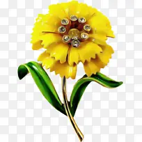 花 开花植物 黄色-空若网 花 开花植物 黄色-空若网