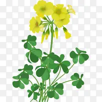 花 开花植物 植物-空若网 花 开花植物 植物-空若网