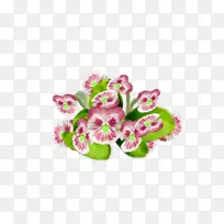 花朵 粉色 植物-空若网 花朵 粉色 植物-空若网