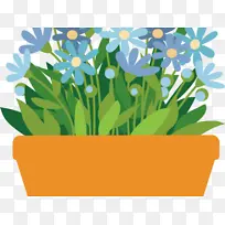 �� ֲ�� ����-������