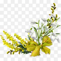 采购产品花 切花 植物-空若网 采购产品花 切花 植物-空若网