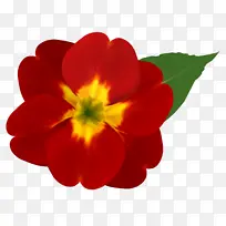 花瓣 花 红色-空若网 花瓣 花 红色-空若网