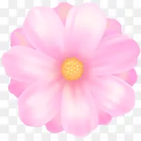 ˮ�� ���� ʪī-������