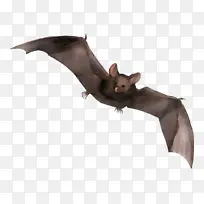 Ë®²Ê» ÑÕÁÏ ÊªÄ«Ë®-¿ÕÈôÍø Ë®²Ê» ÑÕÁÏ ÊªÄ«Ë®-¿ÕÈôÍø