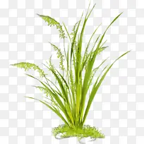 水彩 油漆 湿墨-空若网 水彩 油漆 湿墨-空若网