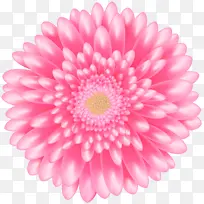 ���� ��ɫ ���޾�-������