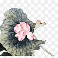 ˮ�� ���� ʪī-������