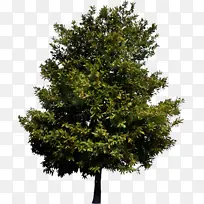 水彩 油漆 湿墨-空若网 水彩 油漆 湿墨-空若网