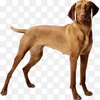 Ë®²Ê» ÓÍÆá ʪīˮ-¿ÕÈôÍø Ë®²Ê» ÓÍÆá ʪīˮ-¿ÕÈôÍø