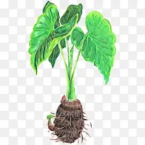 水彩画 油漆 湿墨水-空若网 水彩画 油漆 湿墨水-空若网