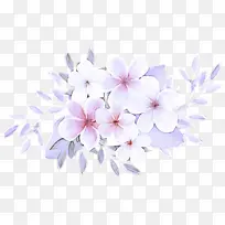 花瓣 丁香 花朵-空若网 花瓣 丁香 花朵-空若网