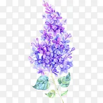 ���� ������ ��ɫ-������