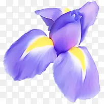 ���� ��ɫ ������-������