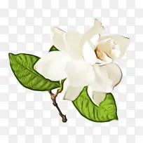 水彩画 颜料 湿墨-空若网 水彩画 颜料 湿墨-空若网