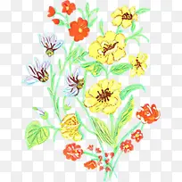 ��ͨ �� ֲ��-������