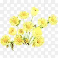 卡通 花卉 黄色-空若网 卡通 花卉 黄色-空若网