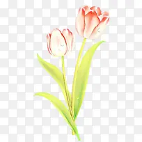 卡通 花卉 开花植物-空若网 卡通 花卉 开花植物-空若网