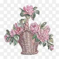 �ɹ���Ʒ���� �� ֲ��-������