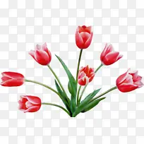 水彩 油漆 湿墨-空若网 水彩 油漆 湿墨-空若网