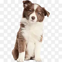 水彩 油漆 湿墨水-空若网 水彩 油漆 湿墨水-空若网