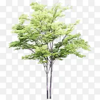 水彩 油漆 湿墨-空若网 水彩 油漆 湿墨-空若网