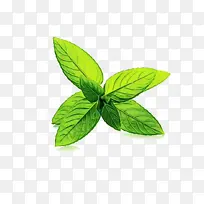 ˮ�ʻ� ���� ʪī-������