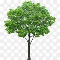 ˮ�� ���� ʪī-������