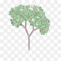 植物 树 花-空若网 植物 树 花-空若网