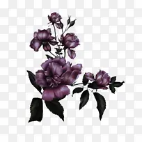 花 丁香 紫色-空若网 花 丁香 紫色-空若网