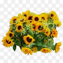 水彩 油漆 湿墨-空若网 水彩 油漆 湿墨-空若网