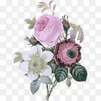 »¨»Ü ¿ª»¨Ö²Îï Çл¨-¿ÕÈôÍø »¨»Ü ¿ª»¨Ö²Îï Çл¨-¿ÕÈôÍø